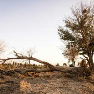 ABD eyaletleri, iklim felaketlerinin artan sigorta maliyetlerini kirleticilere ödetmek istiyor