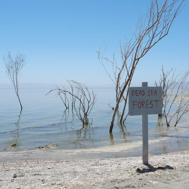 İngiltere iklim finansmanı konusunda geri adım mı atıyor?