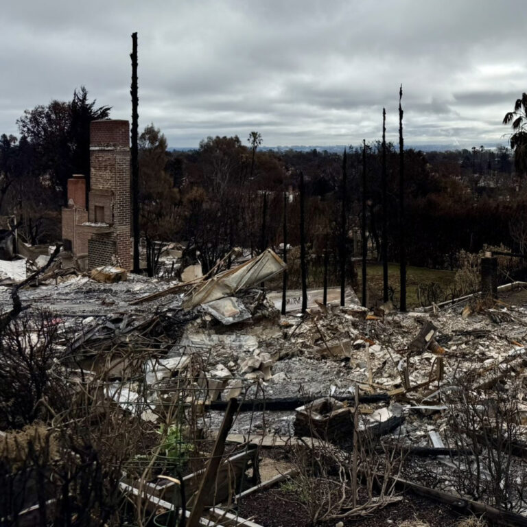 Çevre örgütleri, EPA’nın iklim bulgusunu iptaline karşı dava açtı