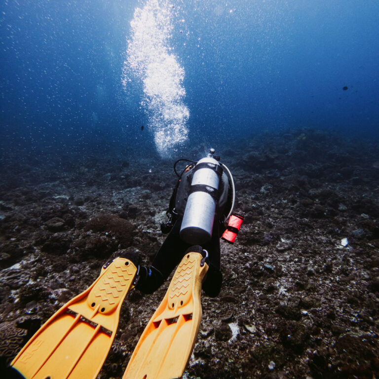 Mercan resifleri neden önemli? Sadece doğal harika değil, aynı zamanda ekonomik güç unsuru