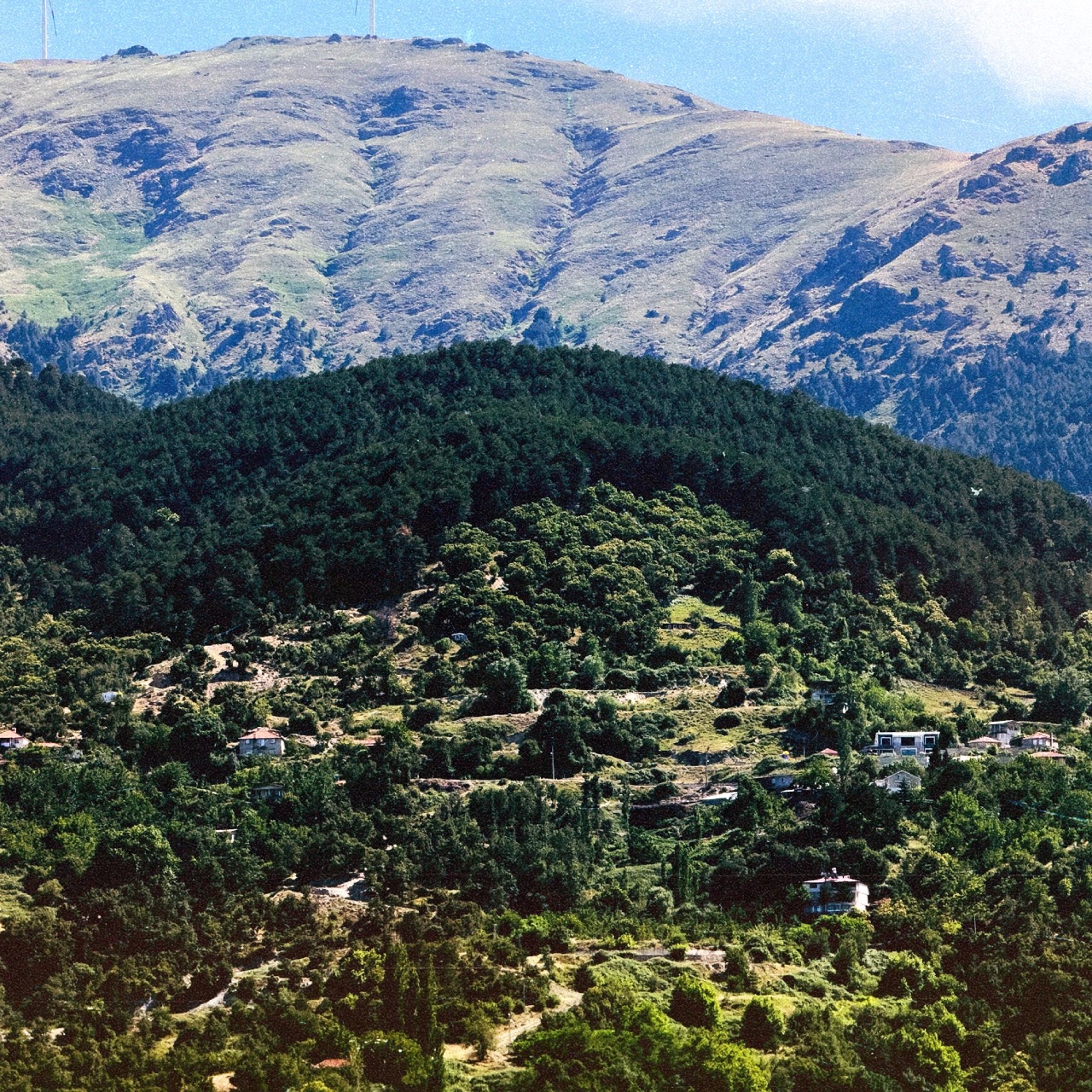 21 ilde bazı alanlar orman sınırları dışına çıkarıldı