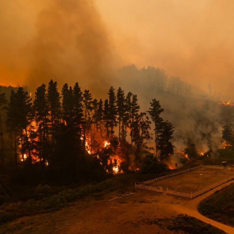 Arjantin ve Şili’deki yangın riski iklim değişikliğiyle üç kat arttı
