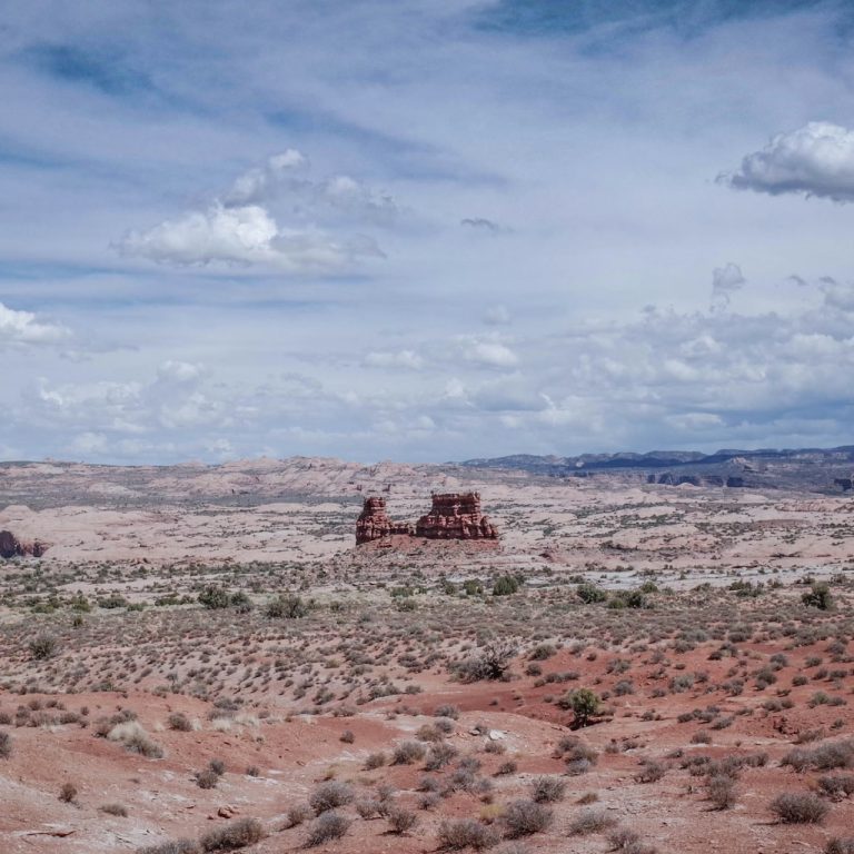 Bilim insanlarından ABD doğası için çarpıcı rapor: Türlerin büyük bölümü yok olma riski altında