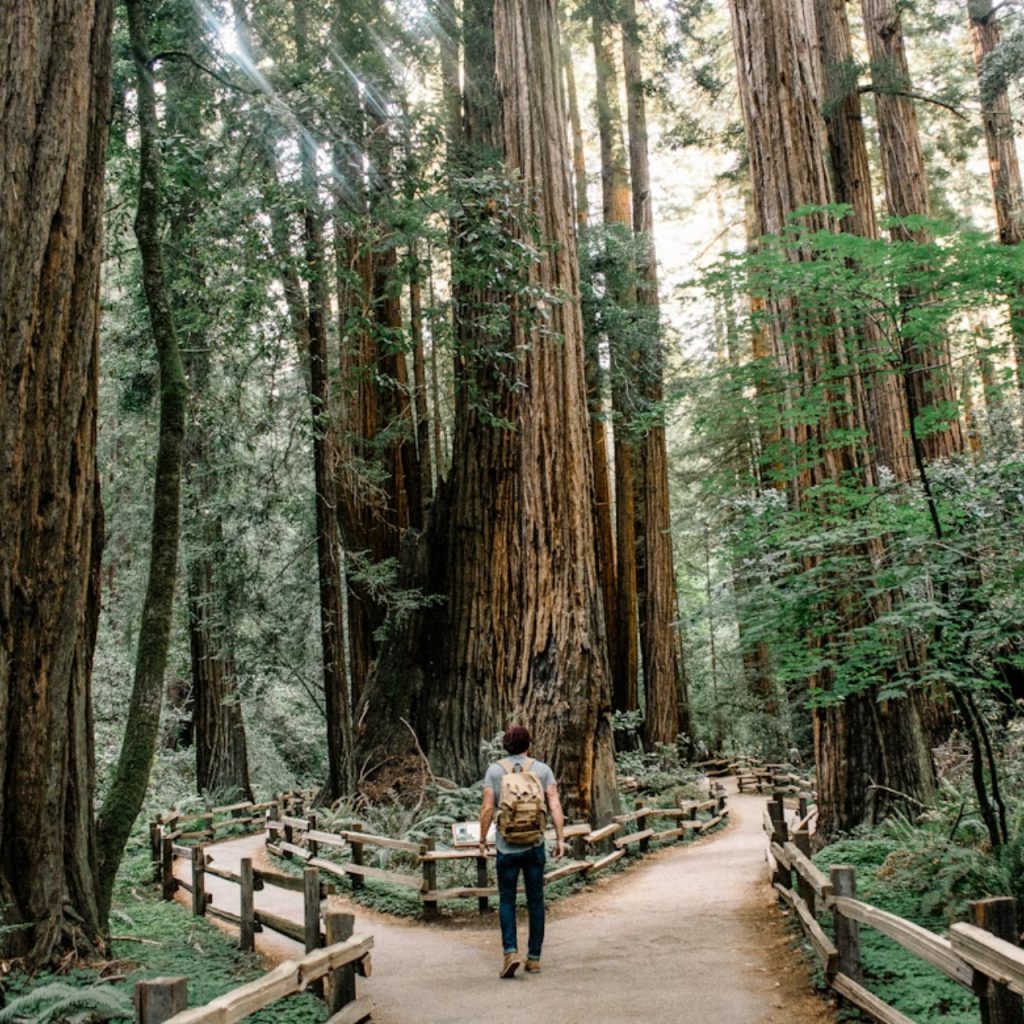 Brezilya, doğayı korumak için yürüyüş parkurlarına yatırım yapıyor: Caminhos da Ibiapaba açıldı