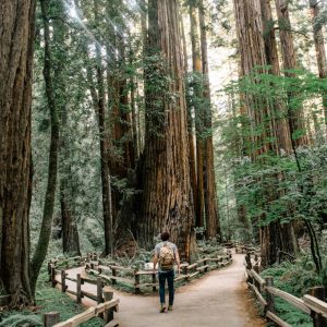Brezilya, doğayı korumak için yürüyüş parkurlarına yatırım yapıyor: Caminhos da Ibiapaba açıldı