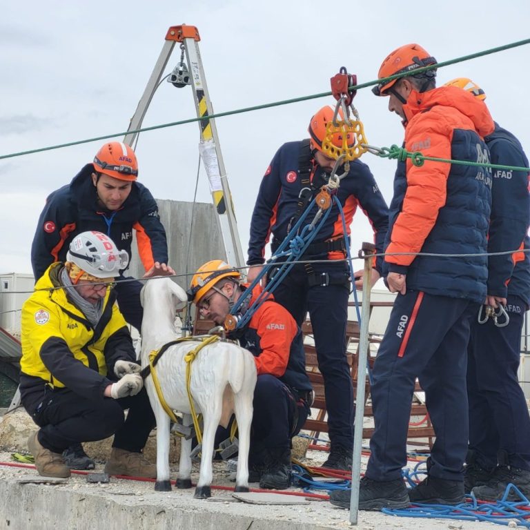 AFAD’dan afetlerde hayvanların korunmasına yönelik uluslararası proje: RESQ‑ANIMALS başladı