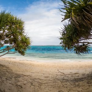 Vanuatu, Trump’ın muhalefetine rağmen BM iklim kararı için ilerleme kaydediyor