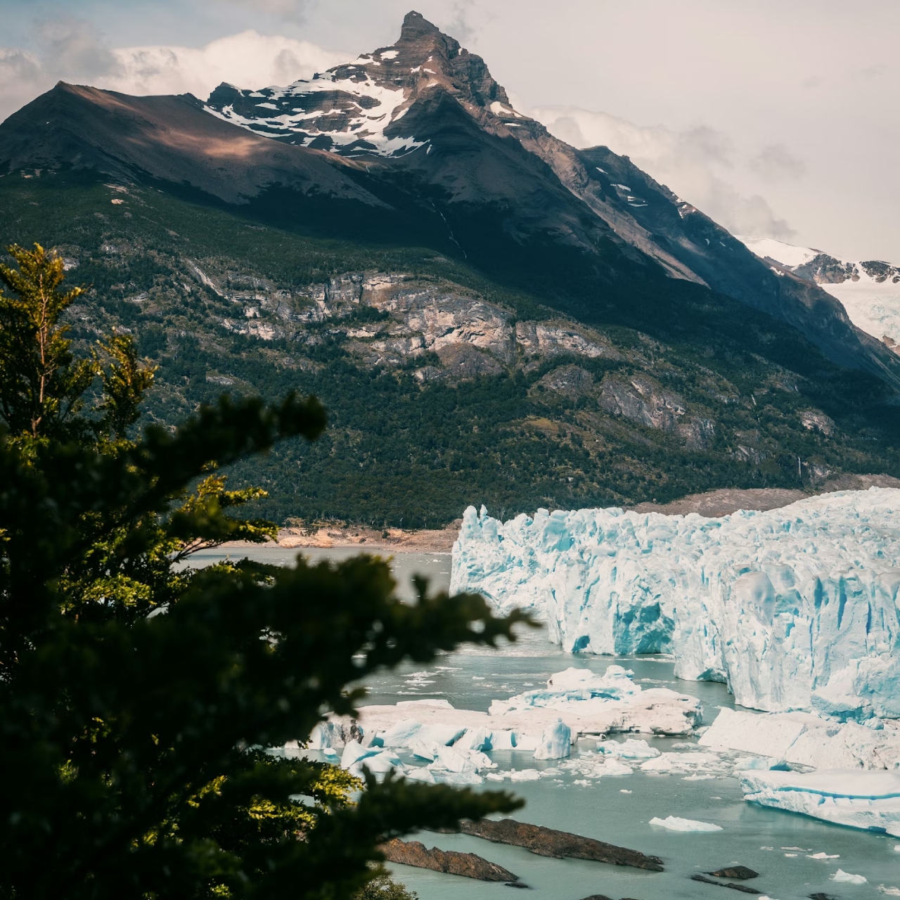 Antarktika’da ‘Grönlandlaşma’: Buz erimesi hızlanıyor, deniz seviyesi riski büyüyor