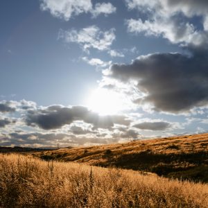 Avustralya, neredeyse on yılın en yağışlı yazını yaşadı; kayıtlara geçen en sıcak sekizinci yaz