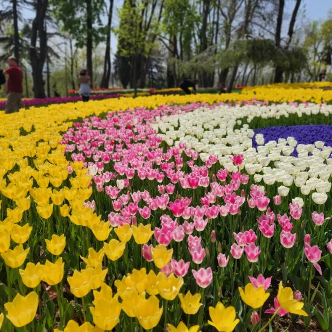 Baharda sıcaklıklar mevsim normallerinin üzerinde seyredecek
