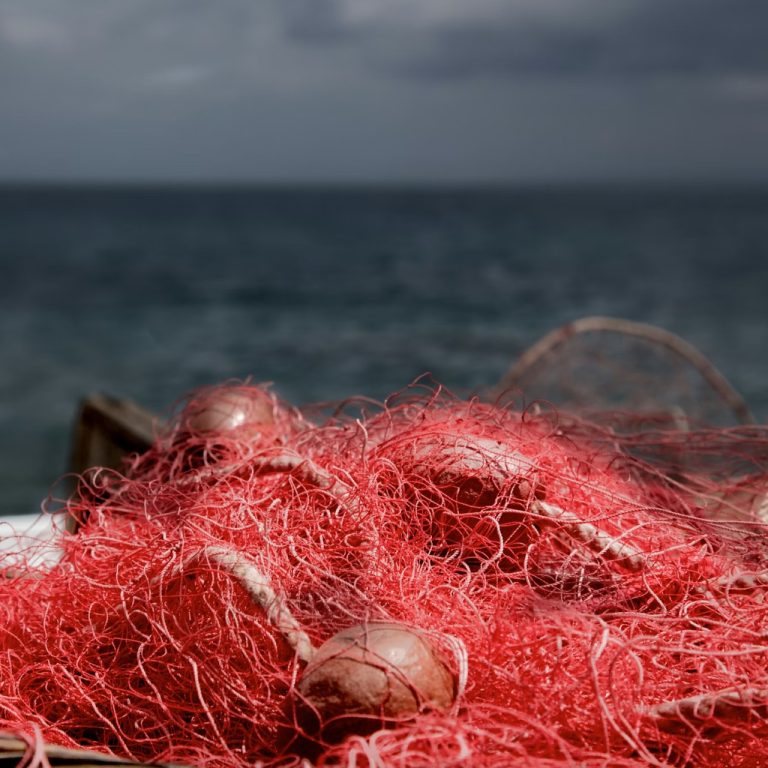 Avrupa Okyanus Günleri başlıyor! Okyanus Yasası masada