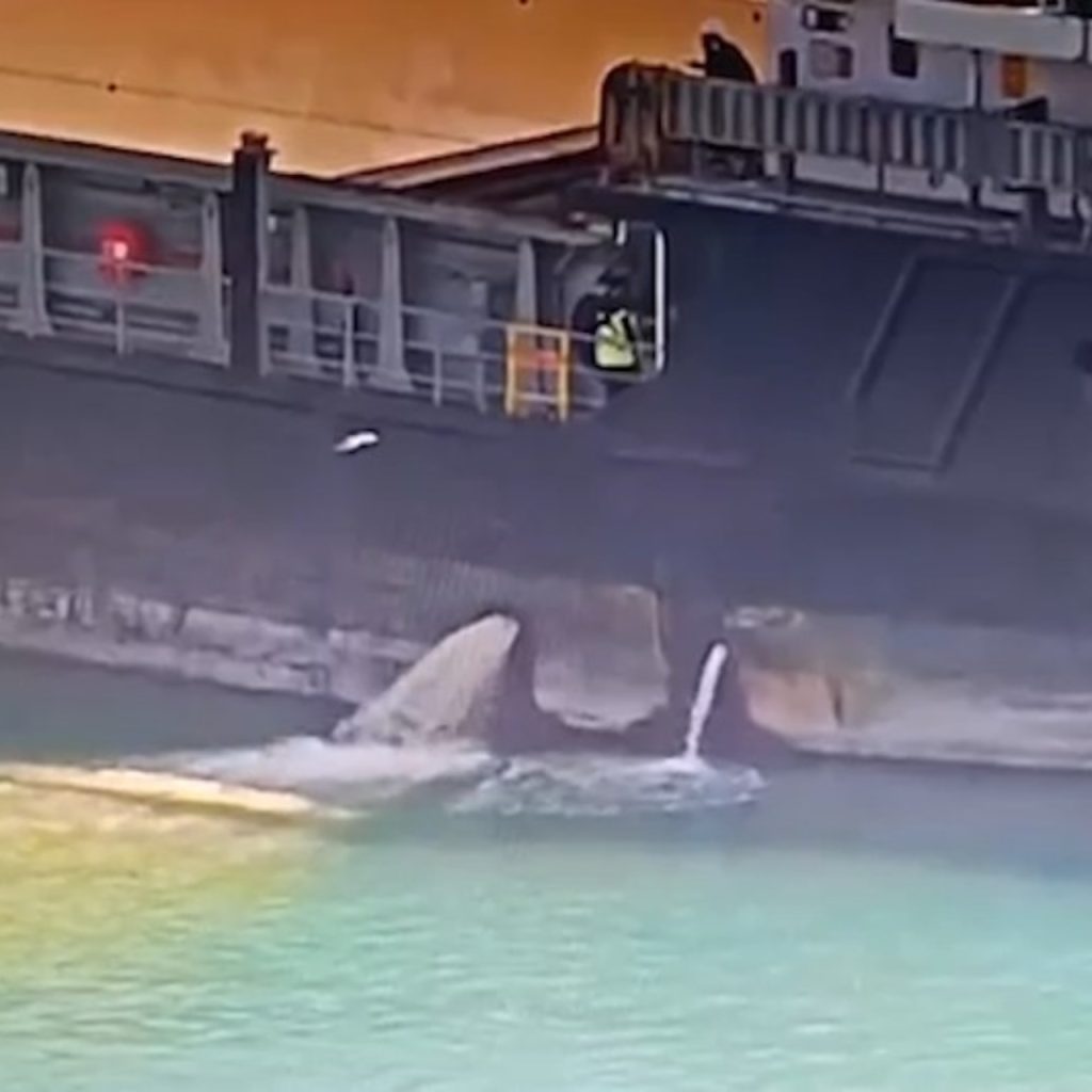 Mersin’de denizi kirleten gemiye 13 milyon TL ceza