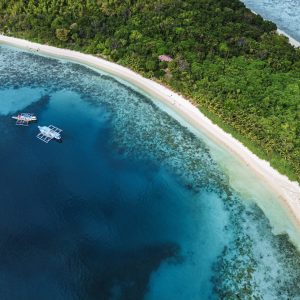 İngiltere, gelişmekte olan ülkelere iklim ve doğa desteğini kısıyor: Şeffaflık tartışmaları ve güvenlik uyarıları