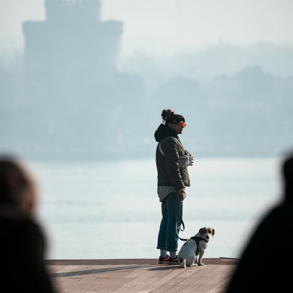Bilim insanları: Hava kirliliğiyle mücadele, kanser oranlarını düşürme planlarının parçası olmalı