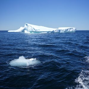 Shoesmith Buzulu yılda yaklaşık 10 metre küçülüyor