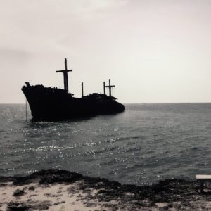 Rusya-Ukrayna savaşı Karadeniz’i ve yunuslarını geri dönüşümü olmayan noktaya getirdi