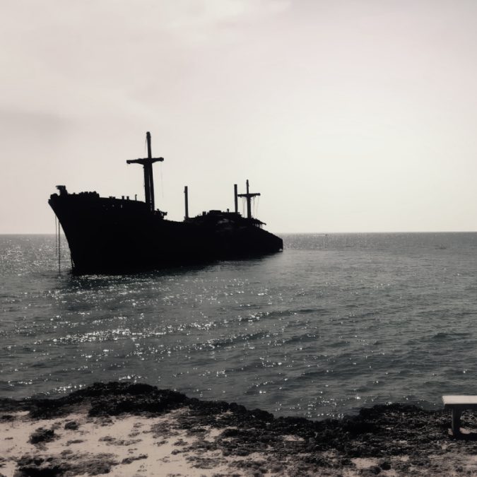 Rusya-Ukrayna savaşı Karadeniz’i ve yunuslarını geri dönüşümü olmayan noktaya getirdi