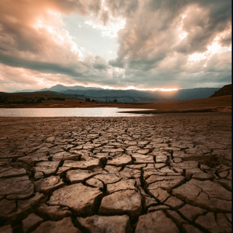 Sıcak hava dalgalarının tetiklediği ‘ani kuraklıklar’ artıyor