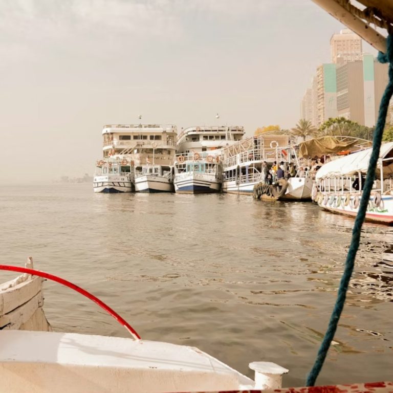 ‘Balıklar kaçtı’: Nil balıkçıları balıktan çok plastik toplayarak geçiniyor