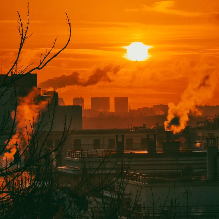 Türler ısınan gezegende yeterince hızlı evrimleşebilir mi? İlk saha kanıtı temkinli iyimserlik sunuyor