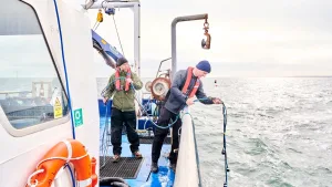 Mavi derinliklerin ‘hayalet’ sorunu: Öldürmeye devam eden terk edilmiş ağlar