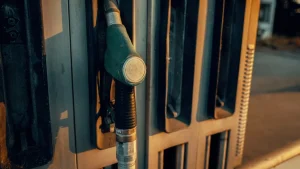 Biyoyakıtlar ‘başarısız deney’ mi: AB alternatif enerji arayışına girdi