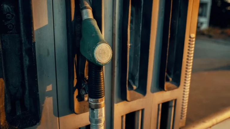 Biyoyakıtlar ‘başarısız deney’ mi: AB alternatif enerji arayışına girdi