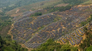 Avrupa’nın en büyük güneş tarlası için 916 milyon euroluk proje gecikmeye takıldı