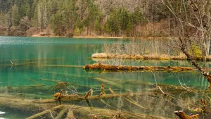 UNESCO koruma alanlarında yaban hayatı ve insanlar birlikte gelişiyor