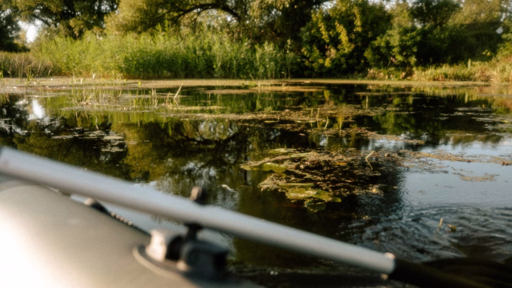Göller kahverengileşiyor! Balık türleri ve balık popülasyonları değişiyor