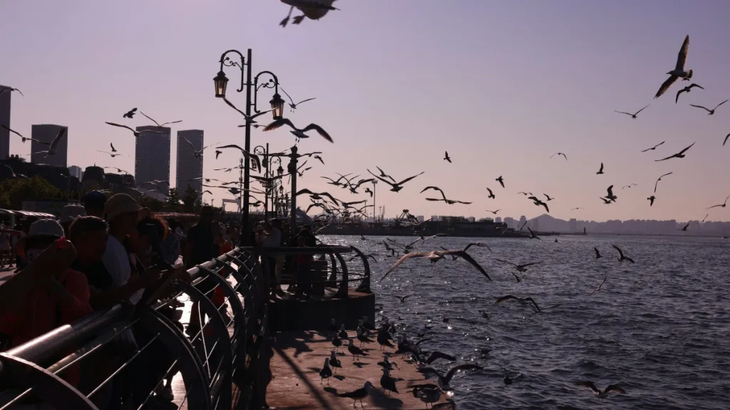 Kuşlar kızılötesiyle serinliyor: Isı uzaya kaçıyor