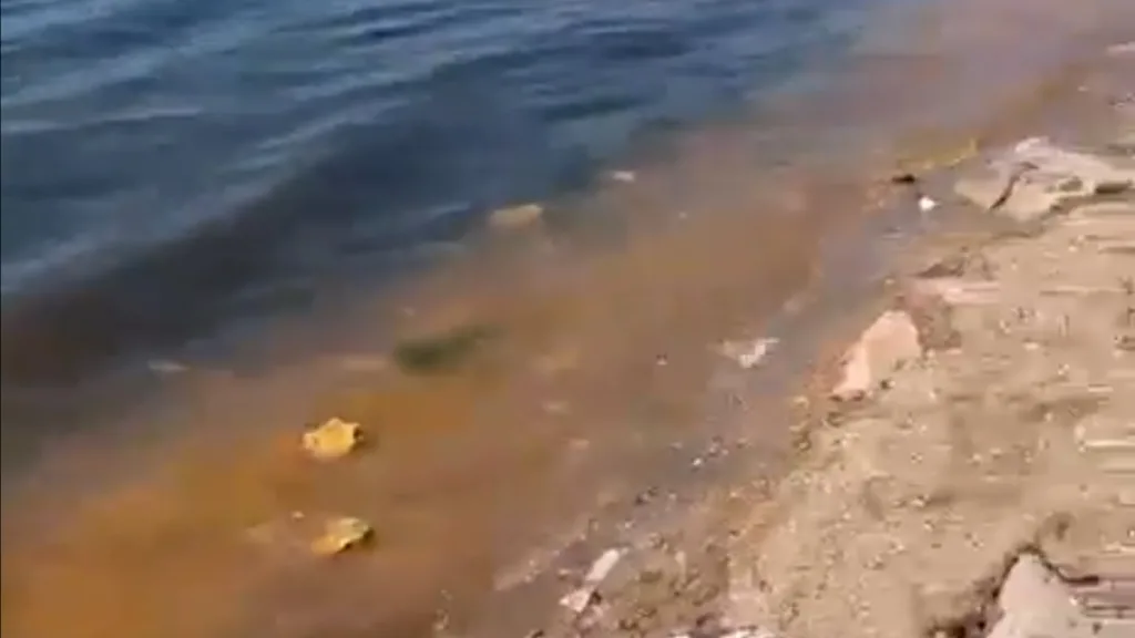 Marmara’da pas rengi su: Neden kızıl gelgit?