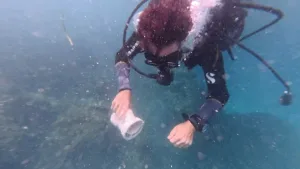 Denizin müziği: Dalgıçlar su altı hoparlörleriyle ölmekte olan mercan resiflerini canlandırıyor