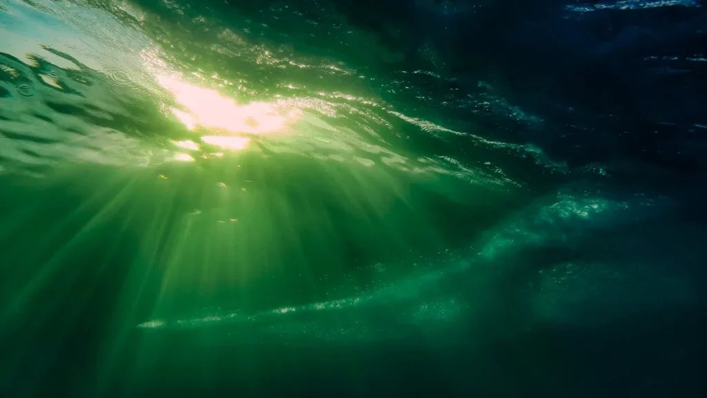 Okyanuslar kararıyor: Bilim insanları küresel risk için uyardı