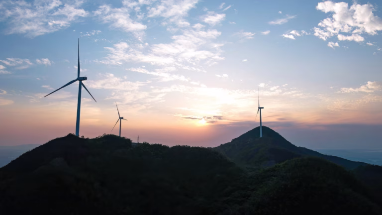 Küresel rüzgar enerjisi kurulu gücünde geçen yıl 165 gigavatlık rekor artış gerçekleşti