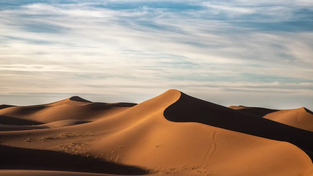 Çölleri yeşil alanlara dönüştürebilir miyiz?
