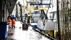 65 iklim bilimcilerden İngiltere’ye Kuzey Denizi petrol uyarısı