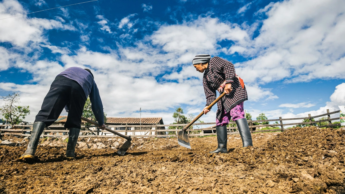 En güçlü El Niño uyarısı: 2026’nın ikinci yarısında Asya’da sıcak ve kuraklık; ekin ve gıda arzı tehlikede