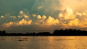 Amazon’da altın madenciliği krizi: Ormansızlaşma ve cıva kirliliği alarm veriyor