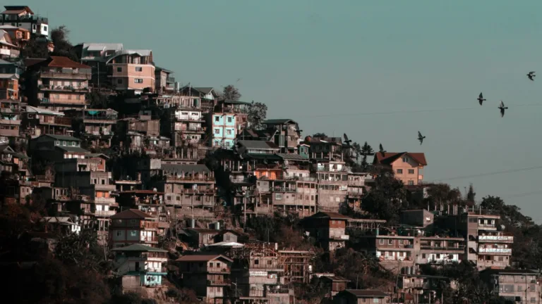 Avrupa’da ekonomik eşitsizlik sıcak ve soğuktan ölümleri yılda 100 bin artırıyor