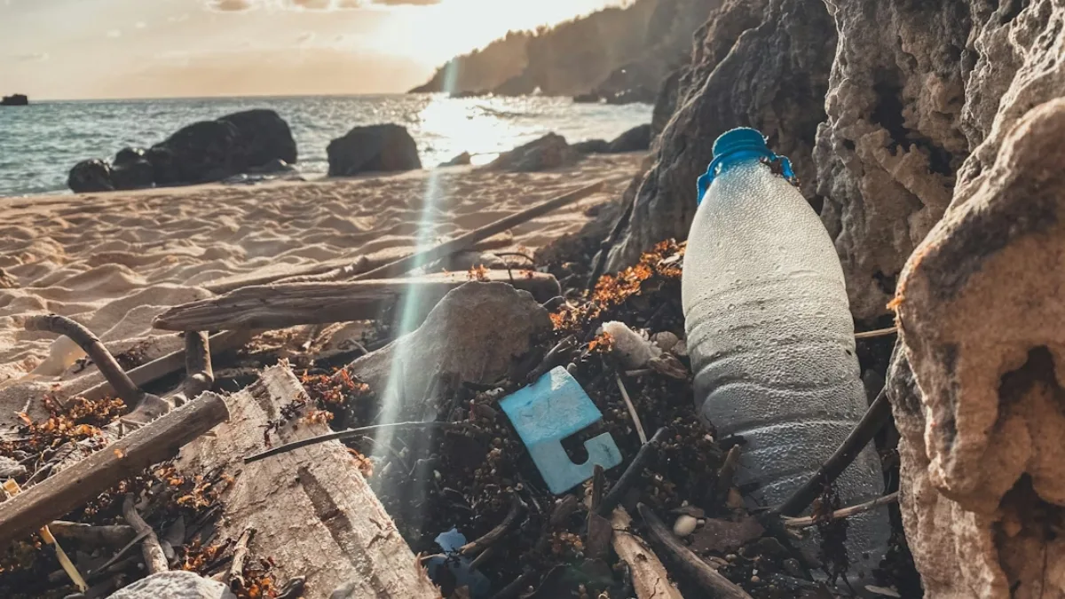 Plastik ambalajlar kıyı kirliliğinde zirvede: Küresel analiz alarm veriyor