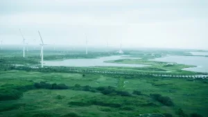 Yenilenebilir enerji fiyatları fosil yakıtlarla yarışıyor