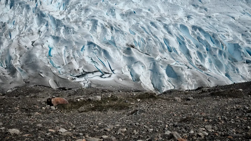 Antarktika’da akılalmaz kış rekoru: Sıcaklıklar 15°C’yi aşarak Beyaz Kıta’yı eritti