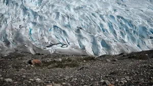 Antarktika’da akılalmaz kış rekoru: Sıcaklıklar 15°C’yi aşarak Beyaz Kıta’yı eritti