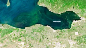 Marmara Denizi’nden korkutan sinyaller! Prof. Mustafa Sarı: Bu alg artışı doğal değil, tamamen bizim eserimiz