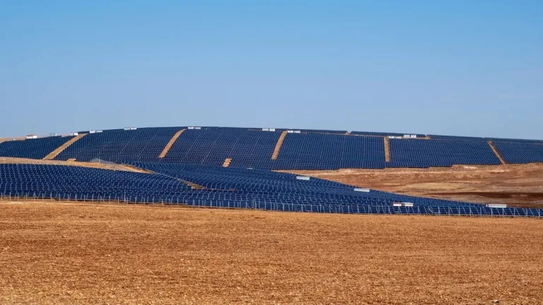 Türkiye’de yenilenebilir enerji, elektrik desteğinde 746 milyon dolar tasarruf sağladı