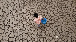 BM’den kritik iklim uyarısı: El Niño dünyayı küresel sıcaklık rekorları ve aşırı hava olaylarıyla tehdit ediyor