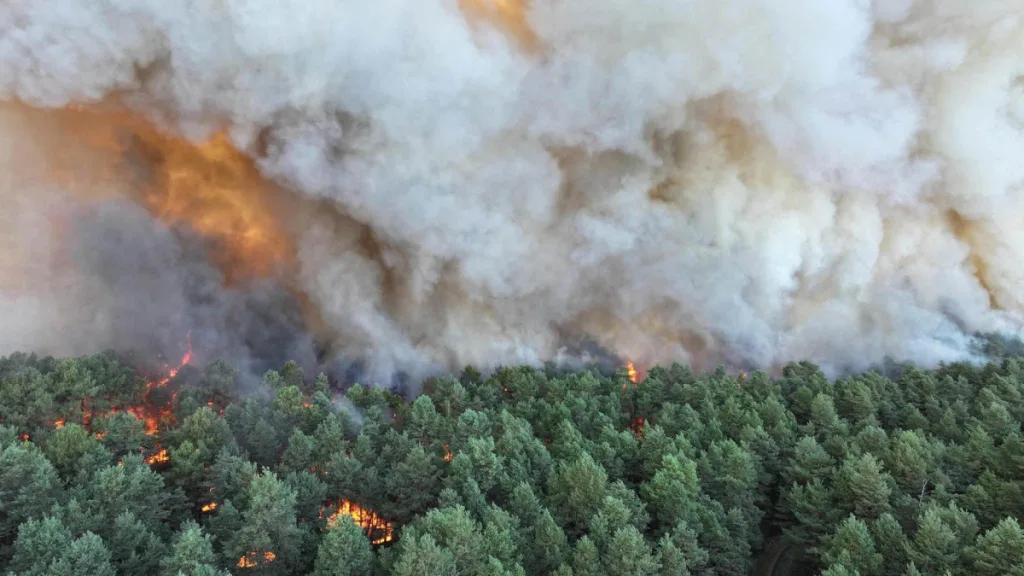 Paris kapısında alevler: Tarihi Fontainebleau ormanı yanıyor, İtalya 44°C’ye teslim!