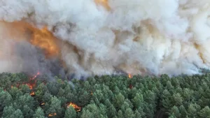 Paris kapısında alevler: Tarihi Fontainebleau ormanı yanıyor, İtalya 44°C’ye teslim!