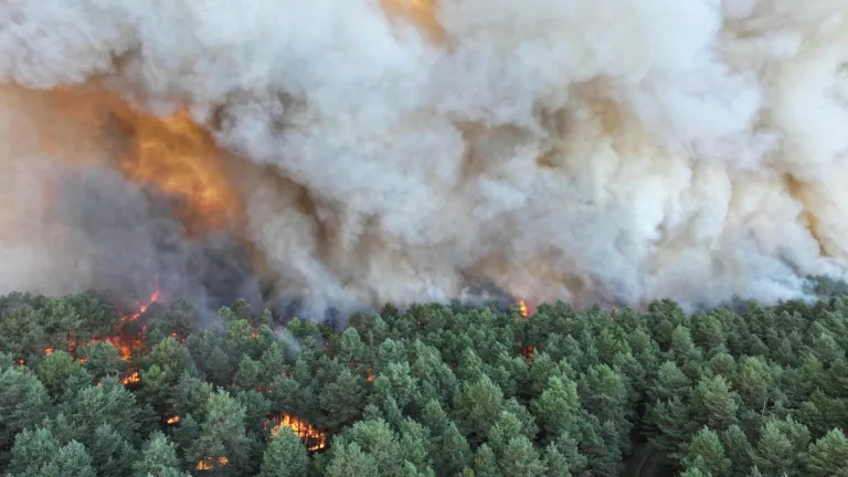 Paris kapısında alevler: Tarihi Fontainebleau ormanı yanıyor, İtalya 44°C’ye teslim!